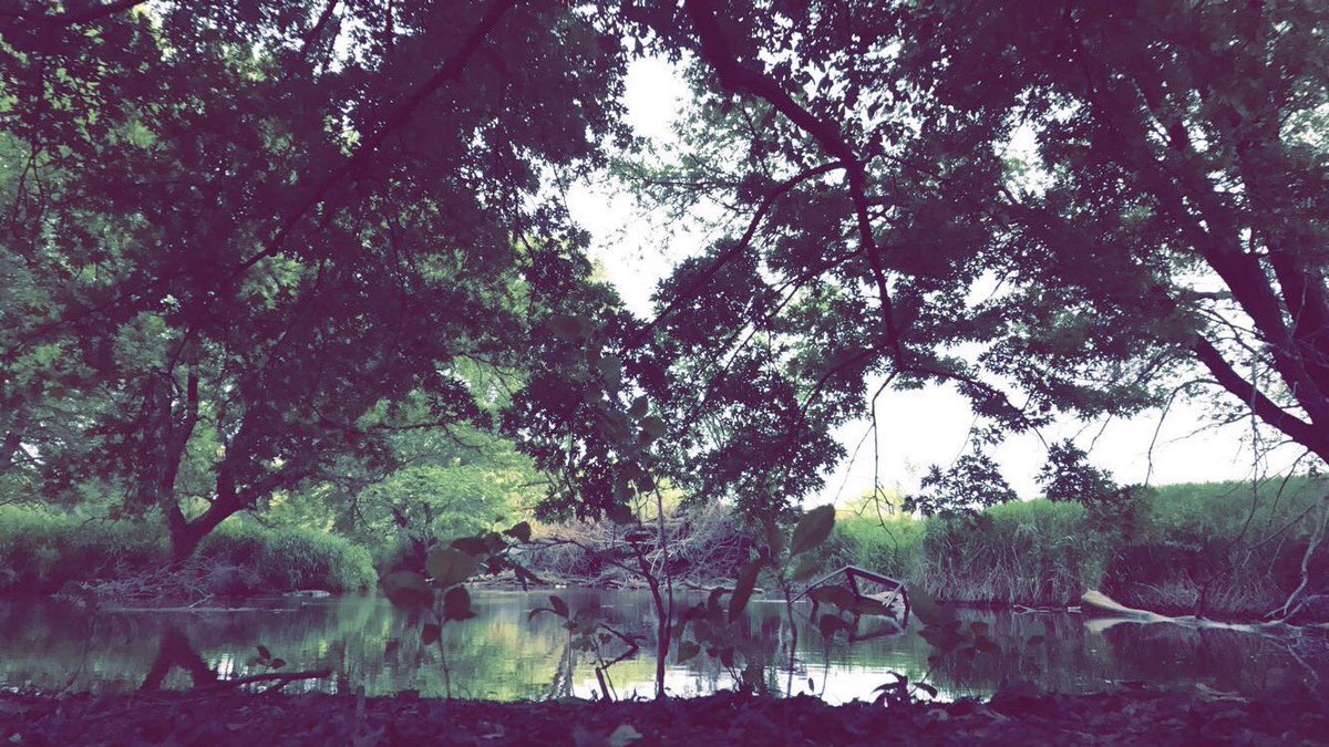 HerbStateOfMind's tweet photo. Smoking weed in this spot🔥🔥 https://t.co/gDAlnryQTm