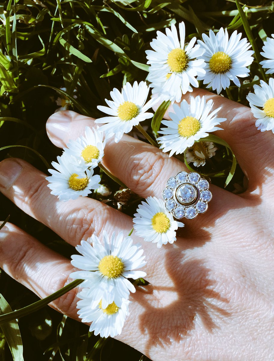 Lanesantiques's tweet photo. He loves me he loves me not...#daisy #flower #diamond #diamondclusterring https://t.co/XFG2LBKSnb