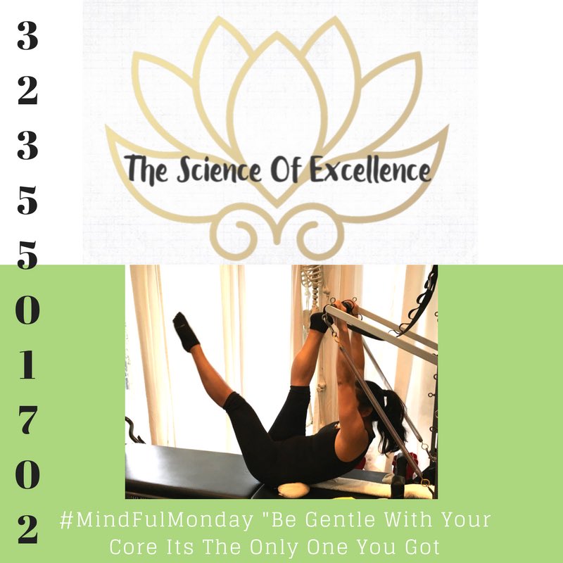 MaryAscension's tweet photo. #MindfulMOnday "Be Gentle With Your Core, Its The Only One You Got" #TheScienceofExcellence https://t.co/L473Cq1TKn