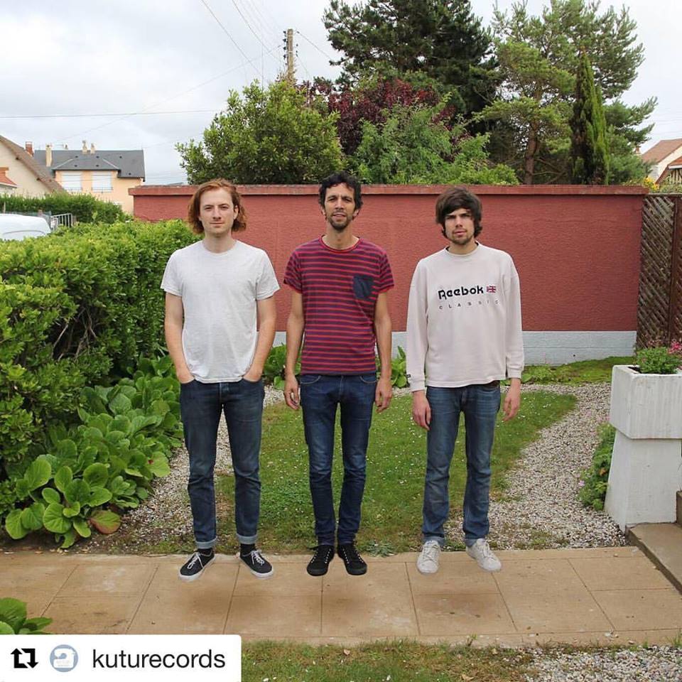 L'Oiseau tweet media