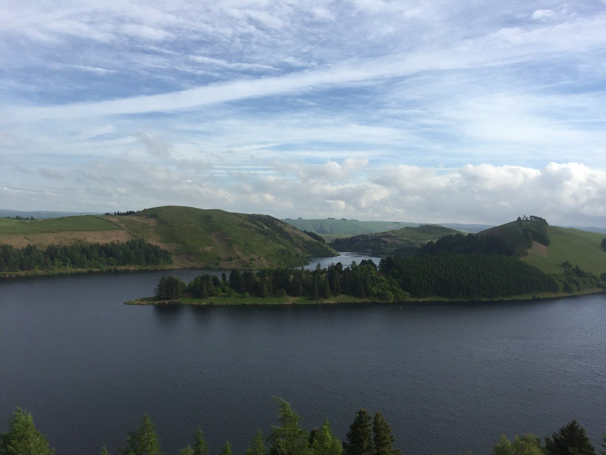 CAP in Wales tweet media