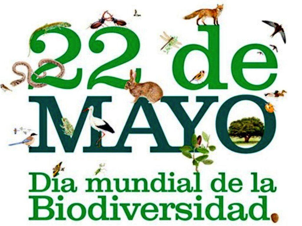 #DiaMundialBiodiversidad 
#IBD2017 #Biodiversidad
Protejamos d agresiones a sus 6500 garantes #Seguridad #PRL #LeyBásicaEstatalAAMM #AAMM