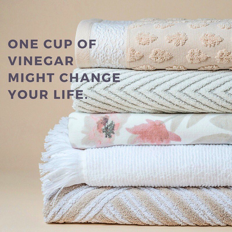 knowhowstudios's tweet photo. Learn the Truth about Towels https://t.co/hUePSfgswo #knowhowstudios https://t.co/KNtdAlF94e