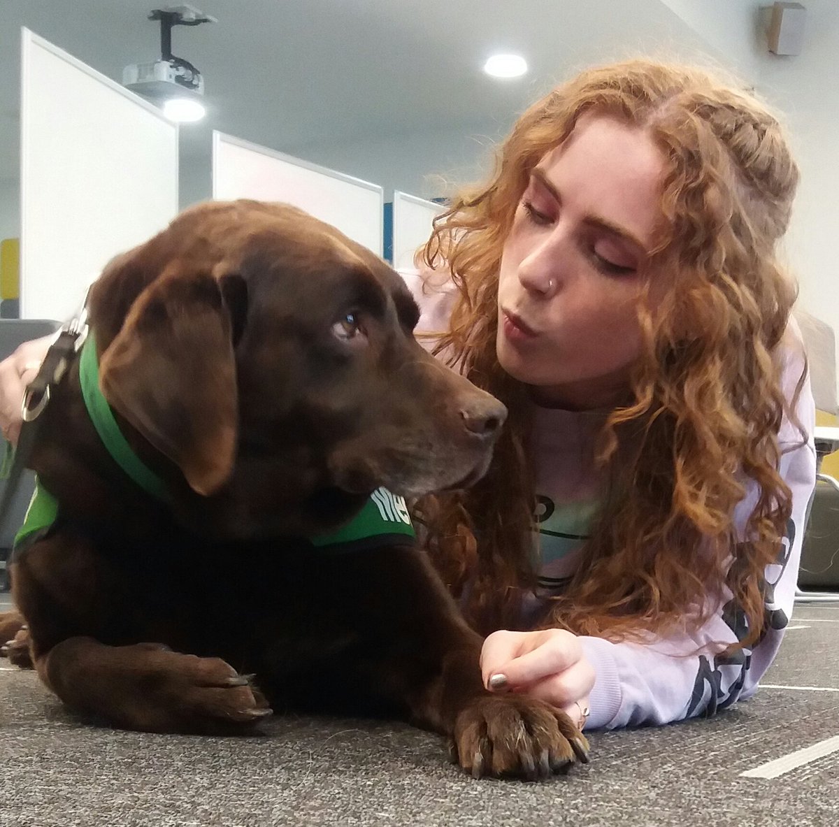 NIADogs's tweet photo. Puppy love @UUJ today at exam de-stress in TheHub. Watch @bbcnewsline tonight #welovedogs #uuj #uusu #puppylove #destresswithadog #niadogs https://t.co/v5dlVVKSQi