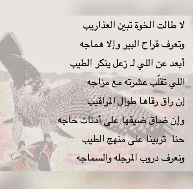 ابومحمد العجمي (@teflatyet) on Twitter photo 