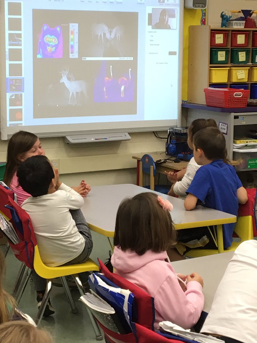 MrsCTechnology's tweet image. Kindergarteners video conference with a scientific researcher! Real world connections @neprisapp @HillsideSchool3