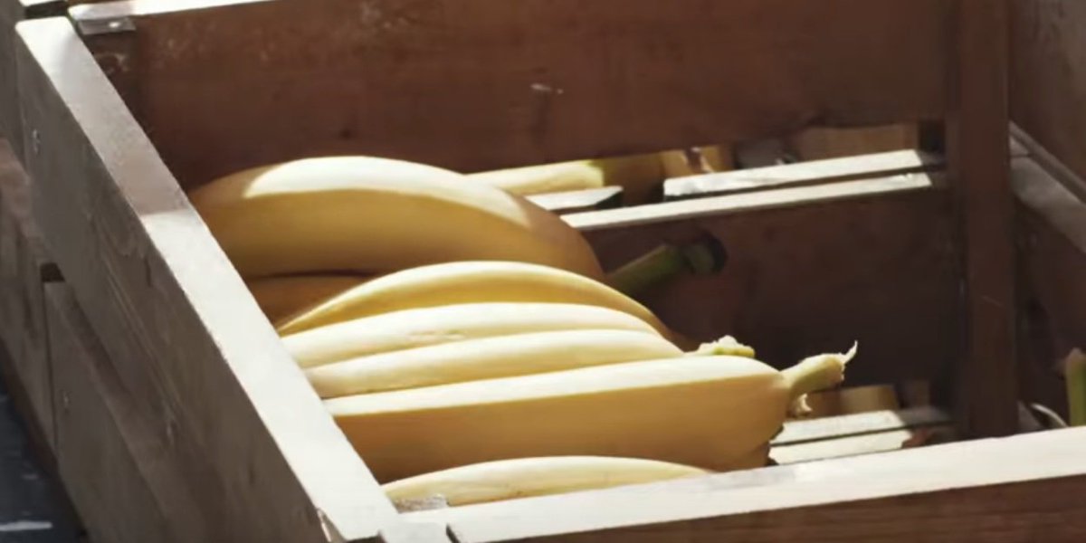 stevekrohn's tweet photo. Amazon gives away 1.7M bananas around its headquarters in Seattle https://t.co/sLgDSBYot0 https://t.co/EKpiApas7Y