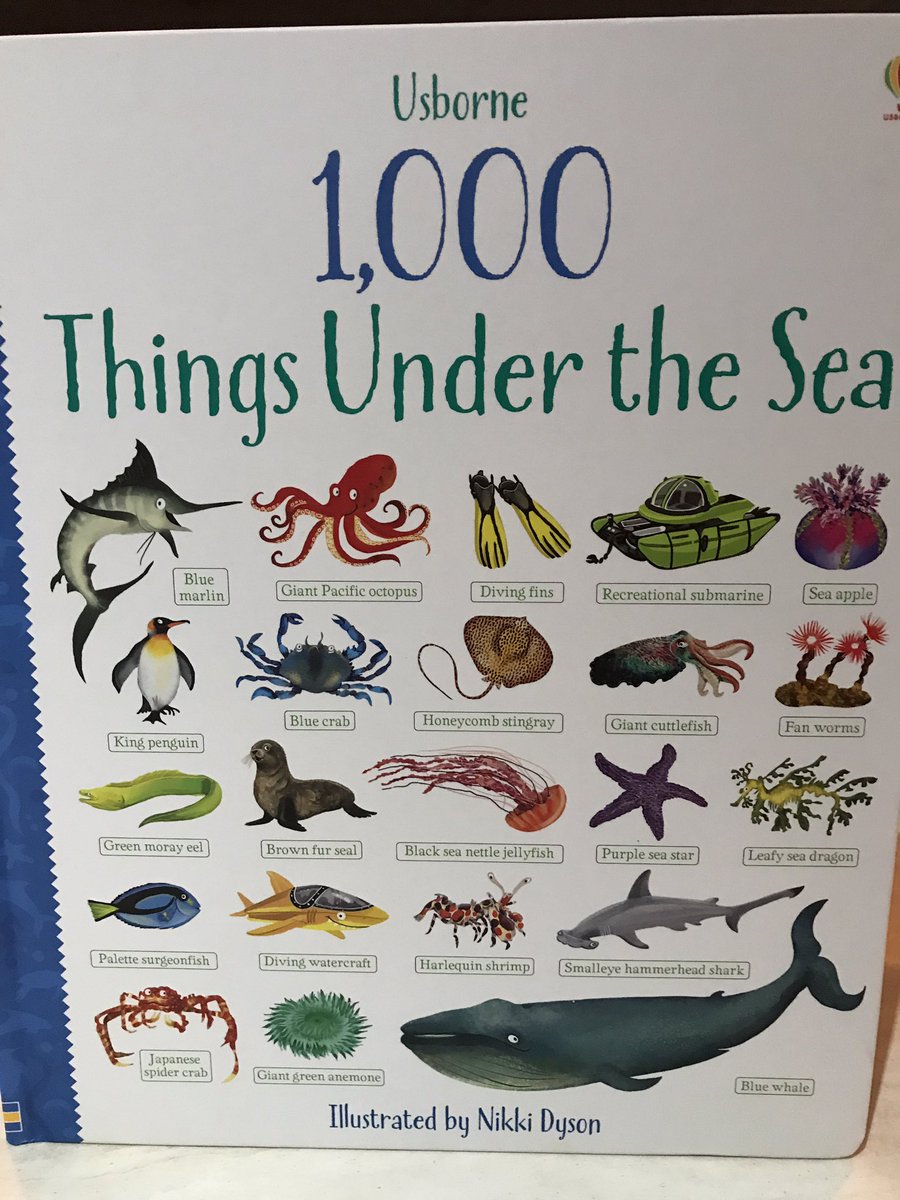 divendry's tweet photo. A lovely gift for one of my kids, but I don't see a Dive n Dry on the SCUBA page. #marinelife #divendry #scuba https://t.co/L2HieY1TAa