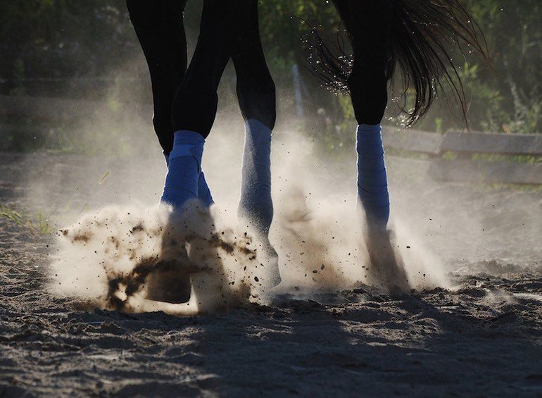 Lyons_Gate_Farm's tweet photo. 12 GOOD habits that every rider should develop
https://t.co/n2C5Zhe9Mu https://t.co/g6DXIG6QHu