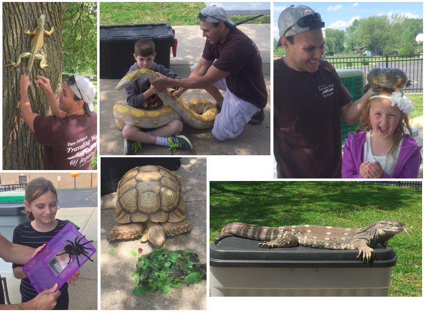 amy_auchter's tweet photo. 1st graders enjoyed the Traveling World of Reptiles today! We love animals! Thanks #Butterfield_PTA for helping! #WeAre44 #BFbluejays https://t.co/0s9ih5jVCI