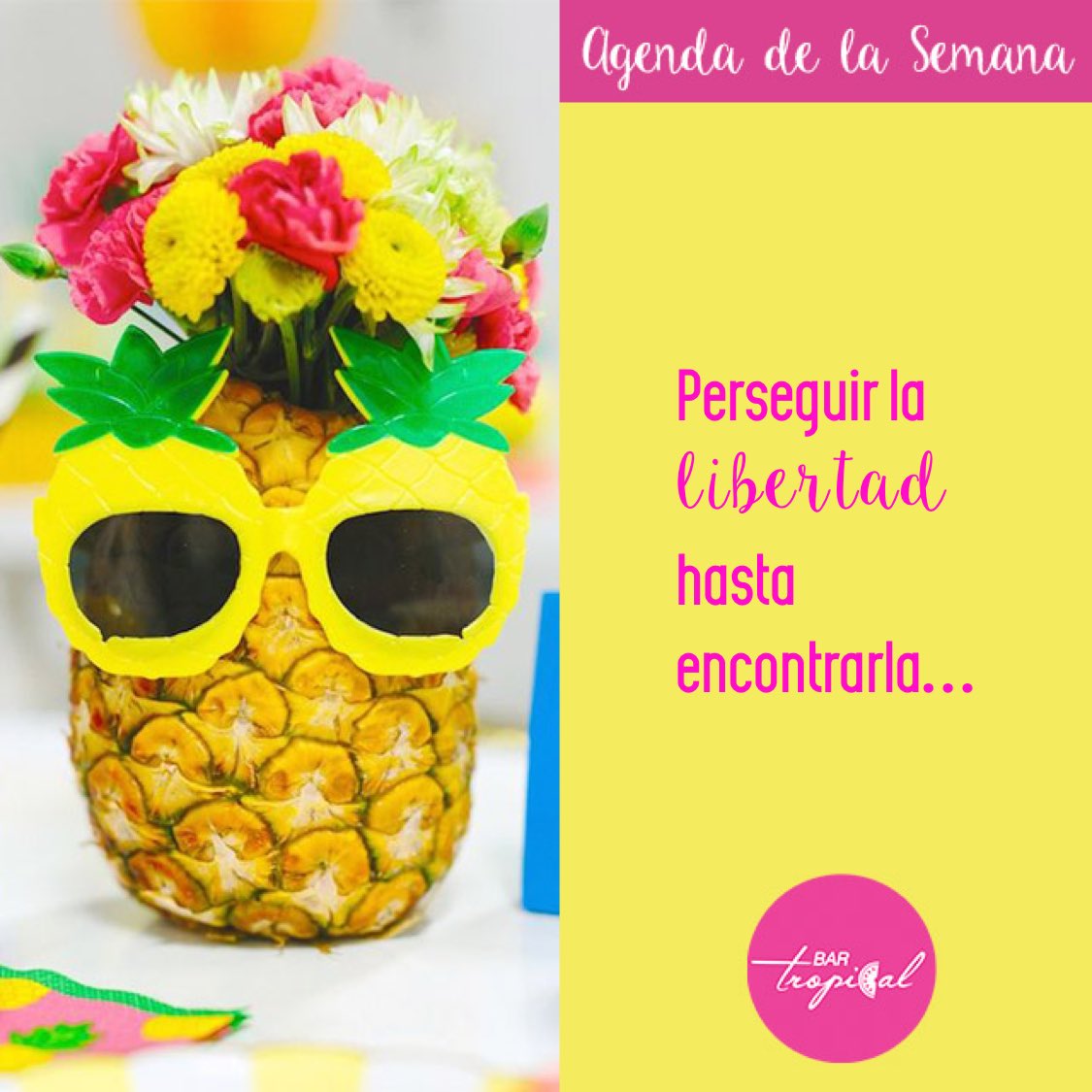 bartropicalvzla's tweet photo. RT Si estás de acuerdo! #agendadelasemana https://t.co/l5lEvkulNL