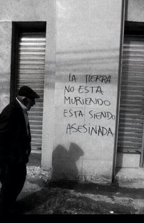 gaddielamaya's tweet image. La tierra no está muriendo, está siendo asesinada.  #PrayForManchester