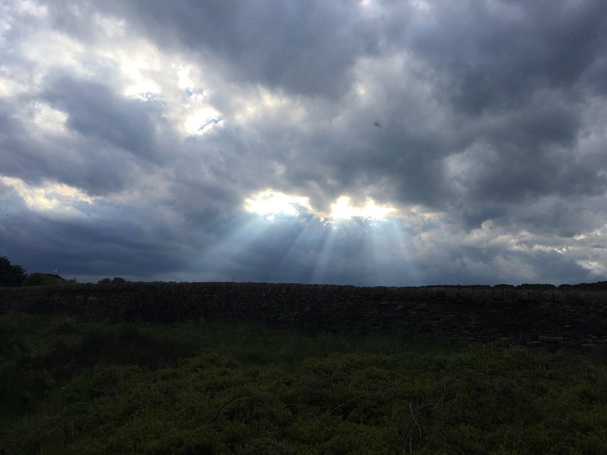 Holmfirth WI Pratty Flowers💙 tweet media