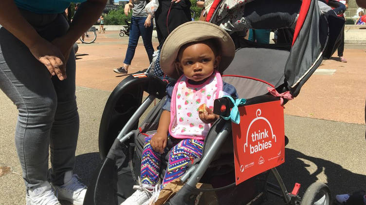 ZEROTOTHREE's tweet photo. #StrollingThunder Weather Recap! See how babies &amp; parents took Capitol Hill by storm. #ZTT40Yrs #ThinkBabies https://t.co/lPNyQHzQkw https://t.co/Mu9wnc50Kg