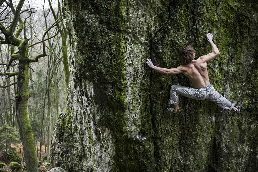 Haystack.im tweet media