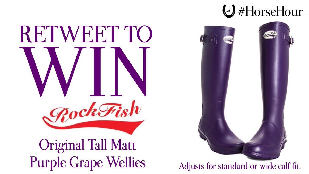 HorseHour tweet picture