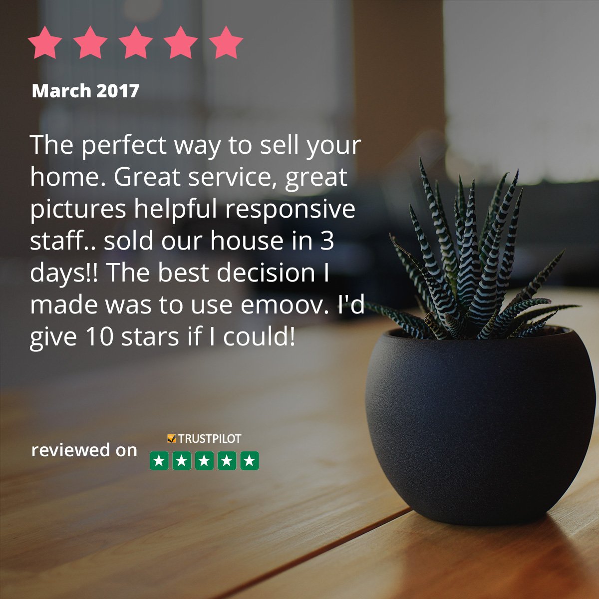 eMoovLeeds's tweet photo. eMoov is rated 9.4/10. Check out our reviews @Trustpilot 
#onlineestateagent #Breakfastwiththedisruptors 
https://t.co/qJdwRLNKW5 https://t.co/TFL94LsPh8