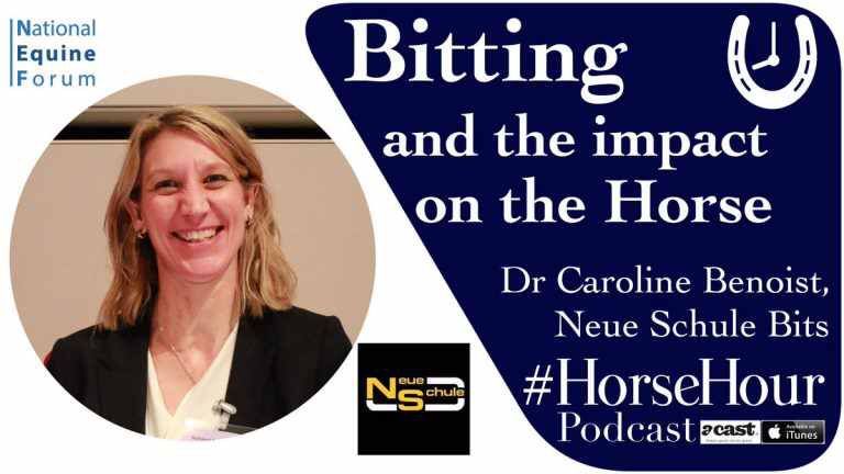 HorseHour's tweet photo. How much does the bit impact your horse? Top research from Dr Caroline Benoist @nsbits at https://t.co/QZVKtAC15Q #HorseHour https://t.co/h4FGar4Nc8