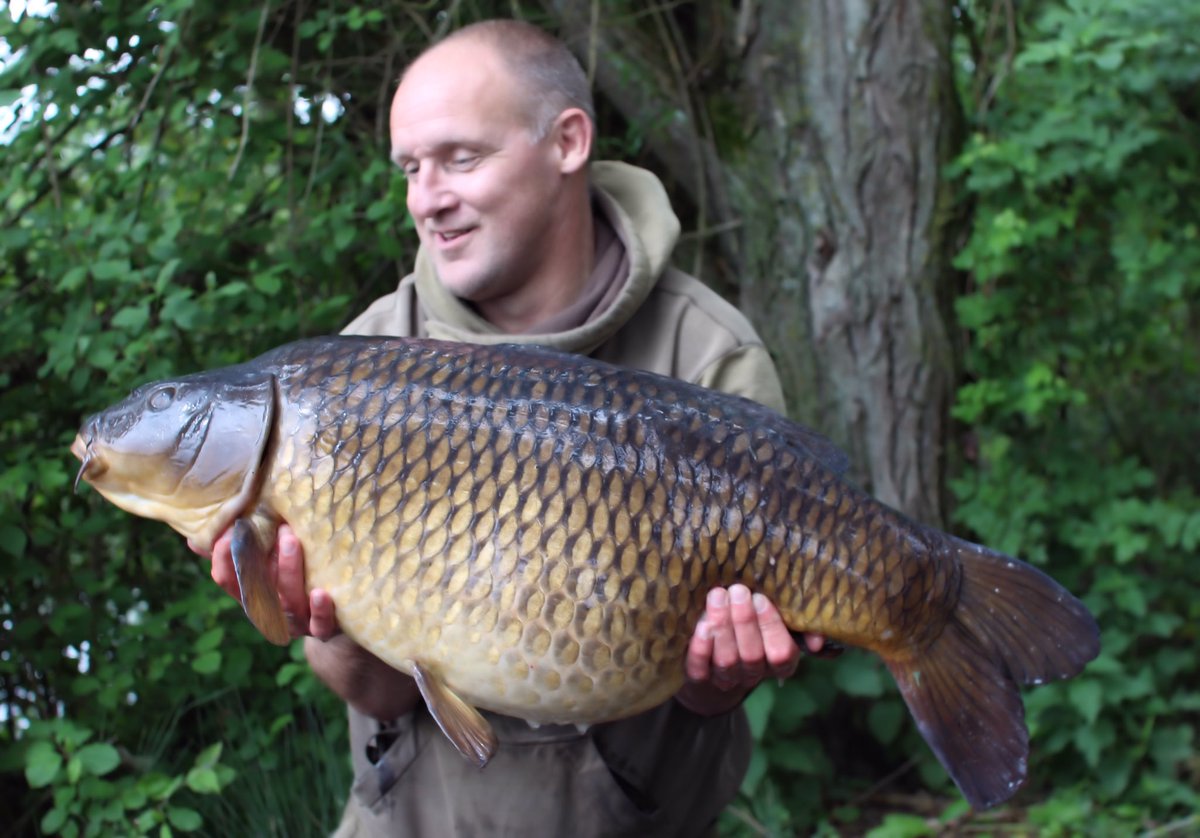 RobAndrews67's tweet photo. Absolutely mad session. A brace of 40lb commons in just 80 mins at 40.12 and 43.00 plus a car exploding in the car park!! https://t.co/4VQITrDV5M