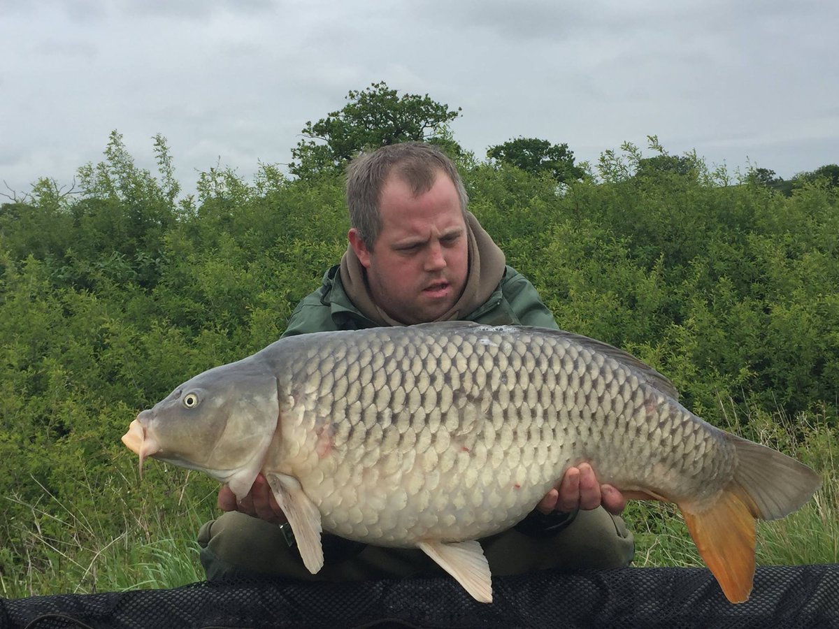 CoreBaits_uk's tweet photo. **New Syndicate Success** Craig landing 13 carp in total to over 24lbs in 48hrs,The Marine Core proving key to his success. #corebaits https://t.co/flIcHKWYAW