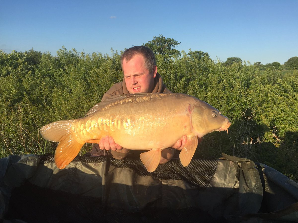 CoreBaits_uk's tweet photo. **New Syndicate Success** Craig landing 13 carp in total to over 24lbs in 48hrs,The Marine Core proving key to his success. #corebaits https://t.co/flIcHKWYAW