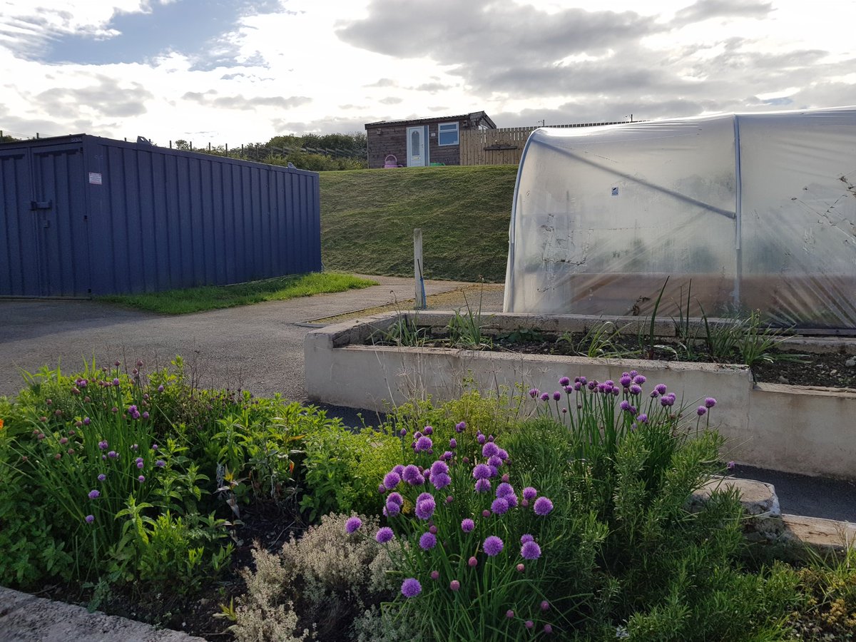 TriaxNMT's tweet photo. Perfect place to relax on beautiful sunny days. Ballymagowan Allotments and Urban Park https://t.co/8Pda0eNJub
