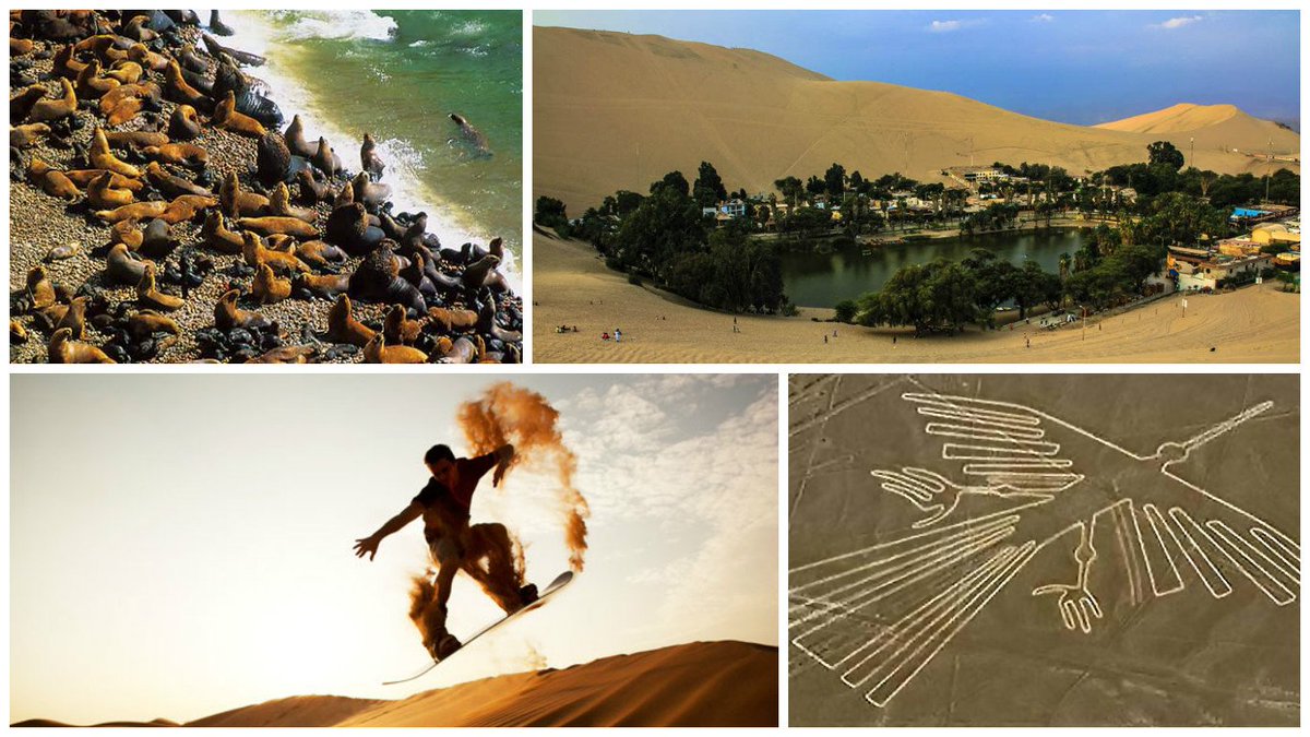 TravelSafePeru's tweet photo. PARACAS-ICA-NAZCA
📩Informes: reservas@travelsafe-peru.com
#Paracas #IslasBallestas #Ica #Huacachina #Nazca #LineasdeNazca #SurPeru #TSP https://t.co/mxZjy7tA95