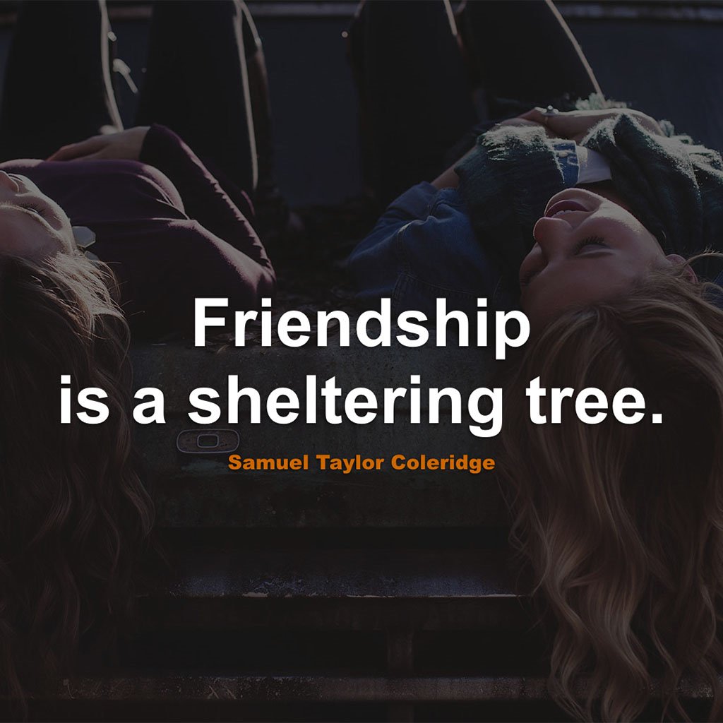 QuoteInEnglish's tweet image. #Friendship #Quotes #Quote #FriendshipQuotes #QuotesAboutFriendship #FriendshipQuote #QuoteAboutFriendship #Tree