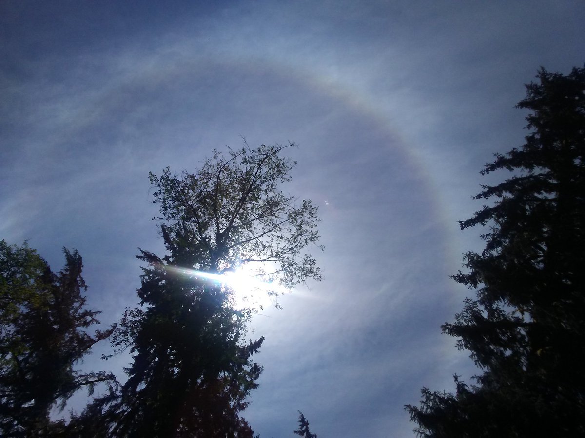 DaGr8Brendinni's tweet photo. #Queets #Olympics #sun #halo  @ShannonODKOMO @ScottSKOMO @komonews #komoloz  @KIRO7Seattle @KING5Seattle 😎🌞😍 #wawx #k5explore https://t.co/pugCyHiNt8