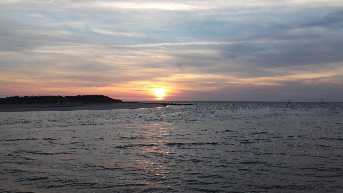 PVPHoulgate tweet media