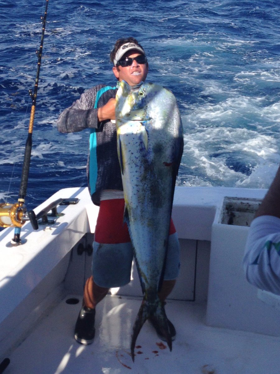 IRTreels's tweet photo. Huge Bull #Mahi caught this weekend! #TeamIRT #IRTreels #catchoftheday #fishing https://t.co/D8OaounseH