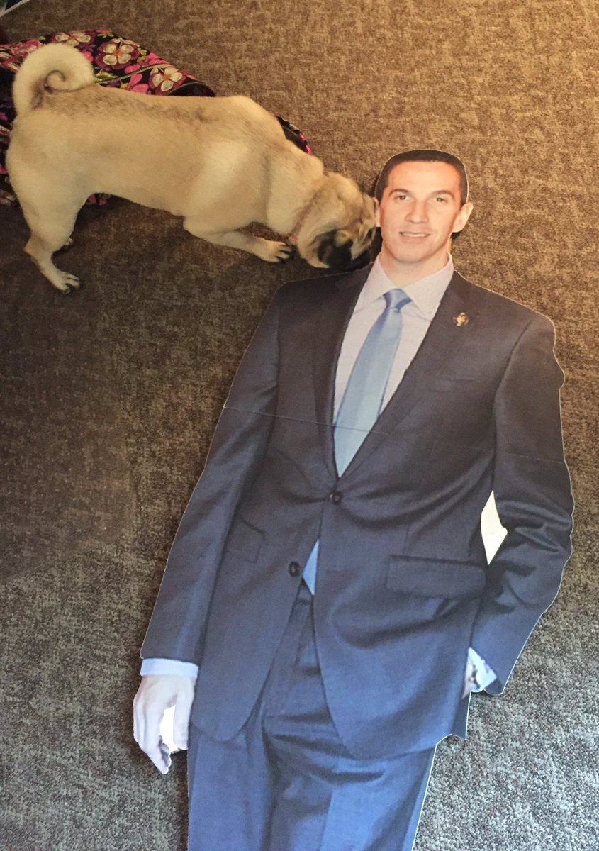 flat_phil's tweet photo. #PuppyLove can't keep me down when I'm fighting for animal rights in #Albany! https://t.co/67MKrA8NVi