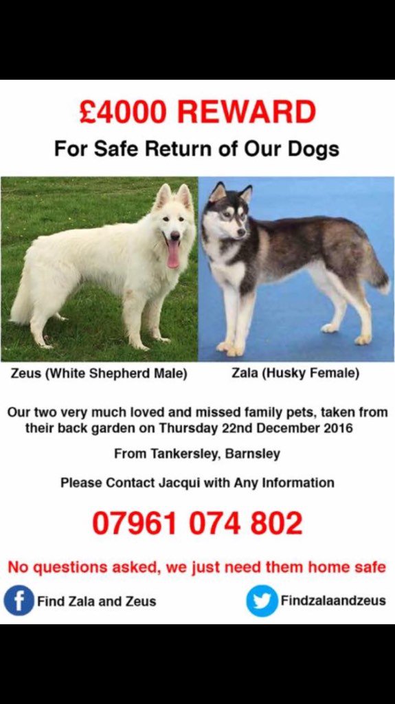 RachaelB100's tweet photo. @MrPeterAndre Pls Kindly RT Missing Zala & Zeus. Huge ask but your help may get them home. Thank you #findzala&zeus https://t.co/WgxP0csYOp