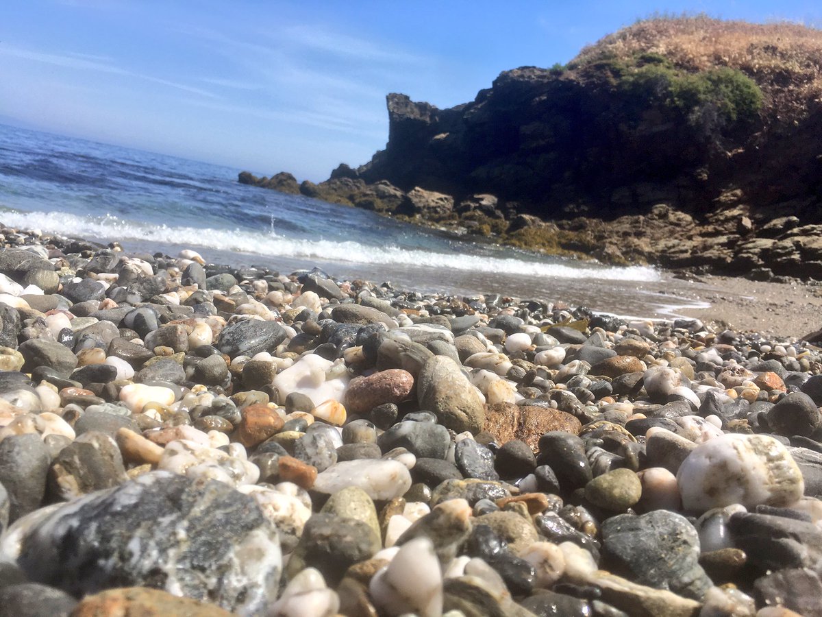 MSA_Camps's tweet photo. This is #DoctorsCove. It's one of our favorite covers at #EneraldBay. We do kelp dives and beginning dives here. #beach #snorkel #Catalina https://t.co/GPrtFwbgX7
