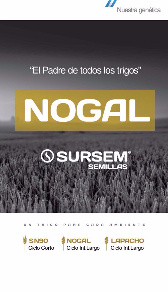 #trigosNogal sinónimo de estabilidad y rendimiento + sanidad! 
Este año #SumateaNogal  
Conoce nuestras variedades.