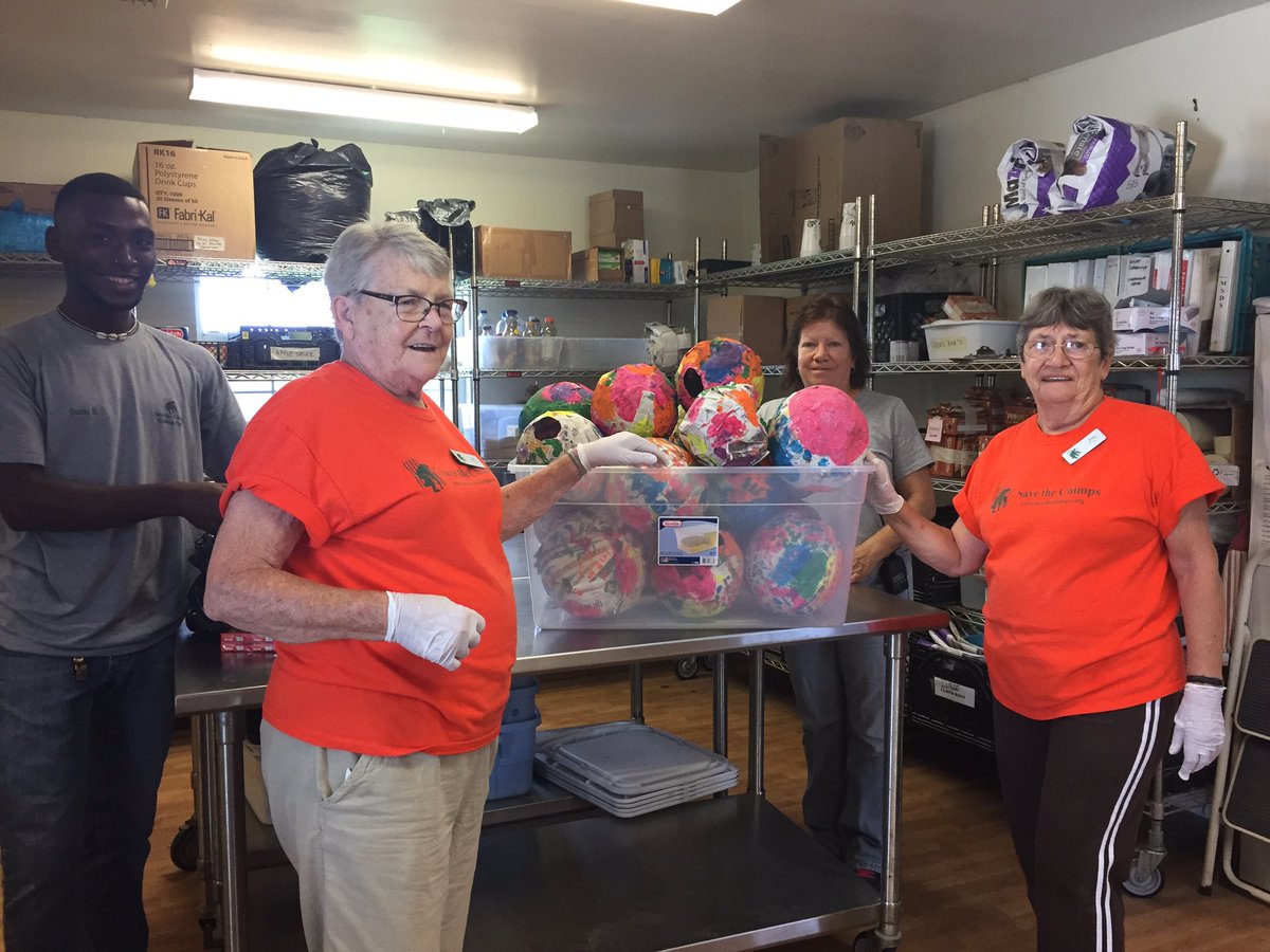 MrsBerlatsky's tweet photo. Happy Campers donated chimpiñatas to some deserving friends at @SaveTheChimps! #KindnessMatters #PeaceLove3rd🦍#verdeway https://t.co/95rB7W7RY9