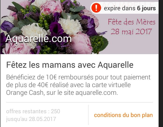 lion_joel's tweet photo. #bonnefetemaman 
Dites-le avec des fleurs !
Une occasion pour tester le paiement en ligne par #OrangeCash 
Et bénéficier d'un bon plan https://t.co/cb2kyoEEhr