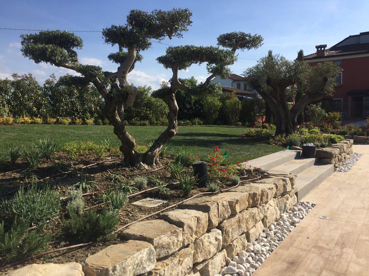AM Casali #oleaeuropea amcasali.it +39 0382 766003