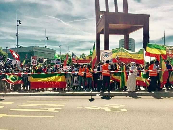 #NOTEDROS4WHO
ቴድርስ አድሃኖም ነፍሰ ገዳይ ነው ።
በመላው አውሮፓ የምትገኙ ውድ ኢትዮጵያውያን ምስጋና ይድረሳችሁ ። በጄኔቭ ስዊዘርላንድ እየተደረገ ያለው ሰላማዊ ሰልፍ!!!