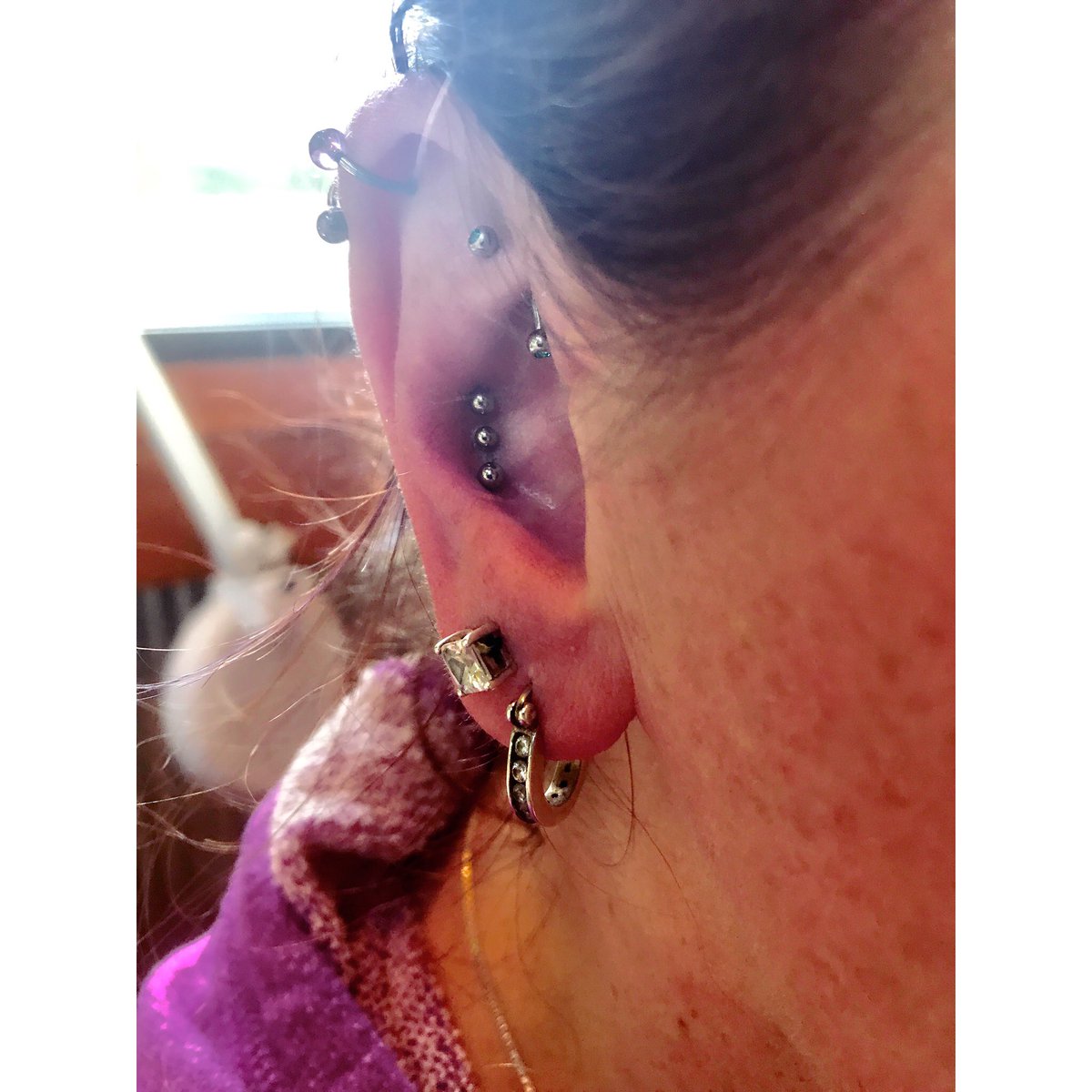 ta_loo_la_bell's tweet photo. #tripleconch I #pierced yesterday! #simple #fun #cute #piercing #piercings #conch #bodypiercing #earpiercing https://t.co/EWP0stgtCf