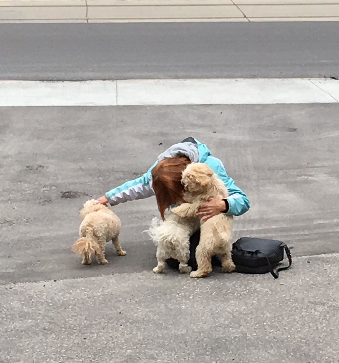 neopaws4pets's tweet photo. A hug a day keeps the doctor away ! #dogs #puppy #neopaws #puppylove https://t.co/HAb8BIMqPb