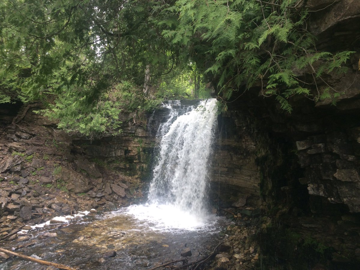 PennyWalford's tweet photo. Great day for hiking along #BruceTrail #HiltonFalls with family and friends. Crazy amount of gnats, though. At least they #didntbite. https://t.co/6PdfyRpJci