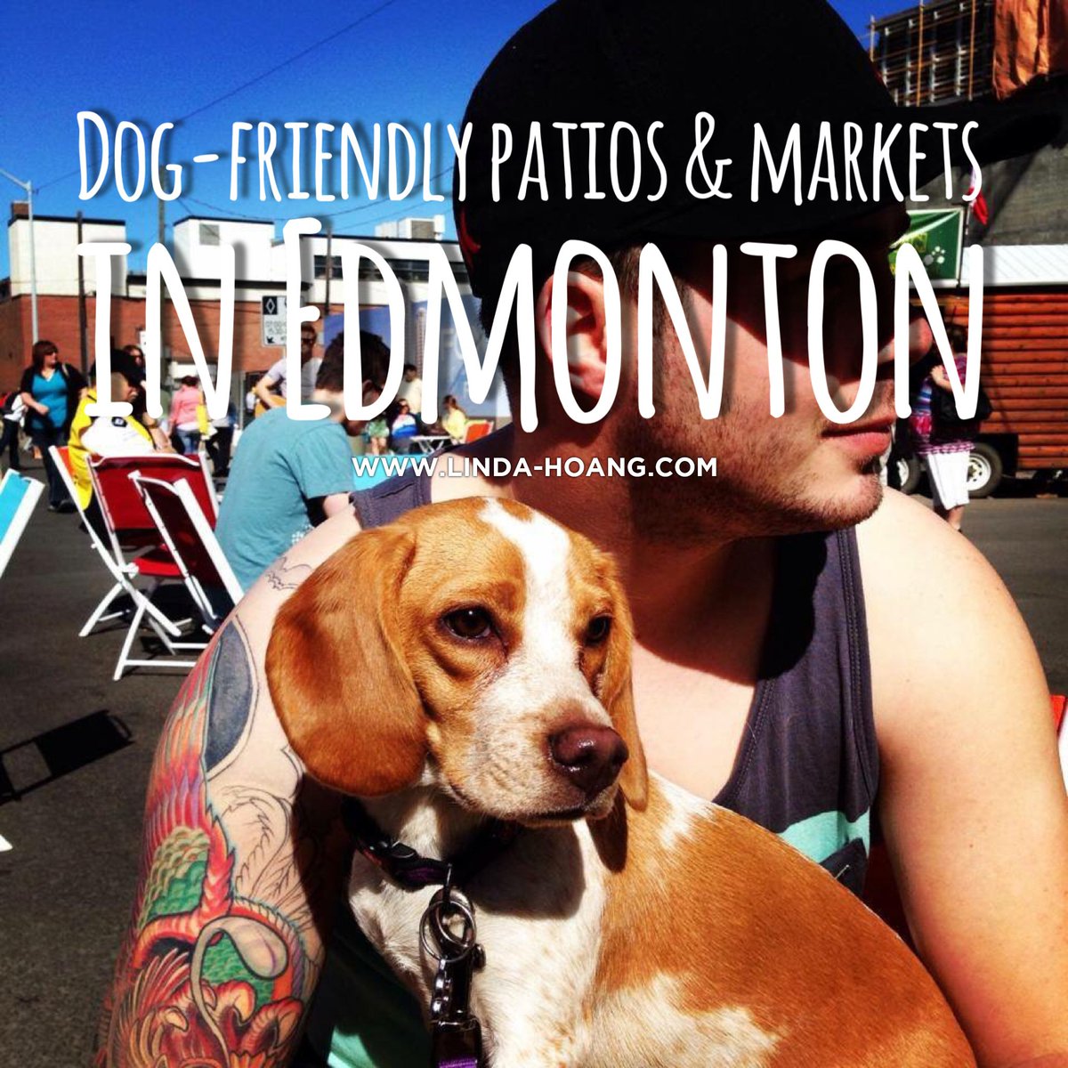 lindork's tweet photo. This list of #dogfriendly patios &amp; markets in Edmonton is now up to 25, with 1000+ shares! #YEG loves their pooches. https://t.co/hDtY9CVLhQ https://t.co/hUb79bizBT