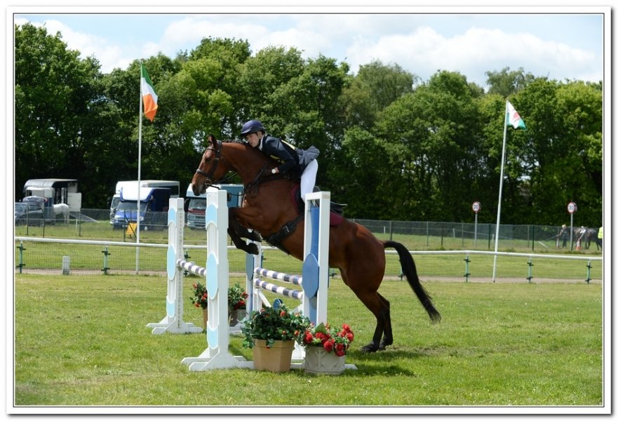 BRS_Eventing's tweet photo. A huge thankyou to @AlexMersh Eventing, taking the Mare for a spin around @TweseldownRC after I was called away on Buisness.  #lookinggood https://t.co/L1pYW4khMd