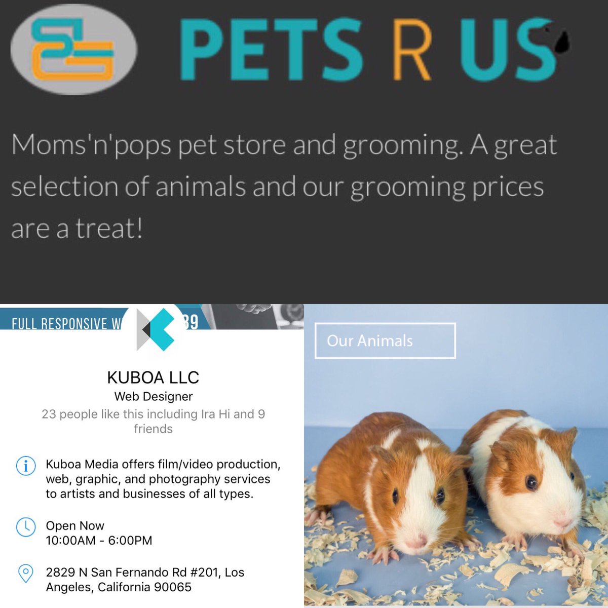 kuboallc's tweet photo. We gladly welcome our newest Client Pets R Us. For more info https://t.co/gB8R26iegD or write at mail@kuboa.net webdesign #photoshoot  #logo https://t.co/T7sfHMsjvX