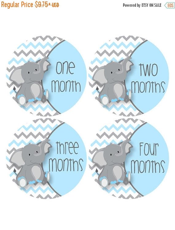 moonlitprints's tweet photo. SALE Baby Milestone Growth Stickers Blue and Grey Elephants  Monthl… https://t.co/cyAG3rxc4O #Etsy #ElephantStickers https://t.co/M2jk35I28P
