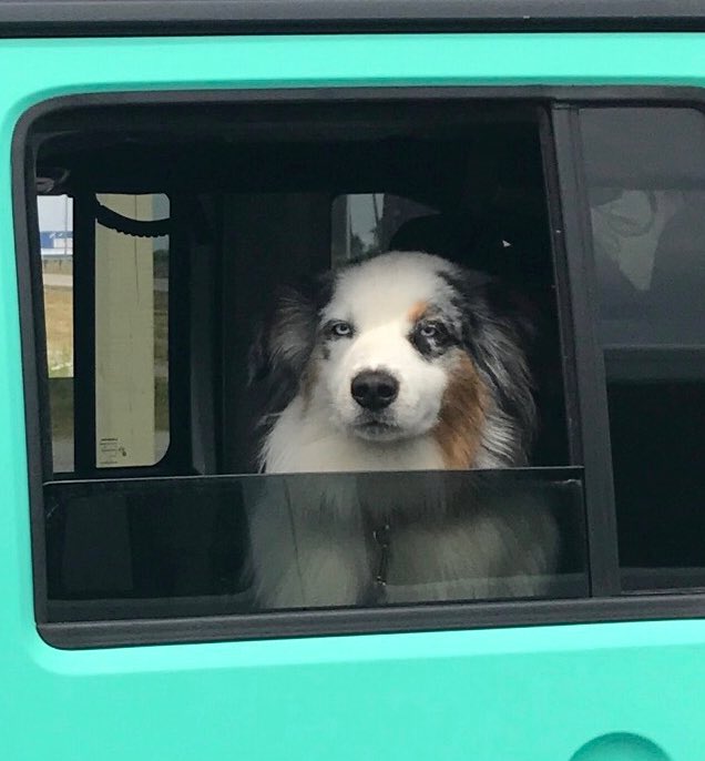 When you wake up a realize it's Monday. #monday #manicmonday #getmeoutofthiscar #bitchplease #getmeoutofhere