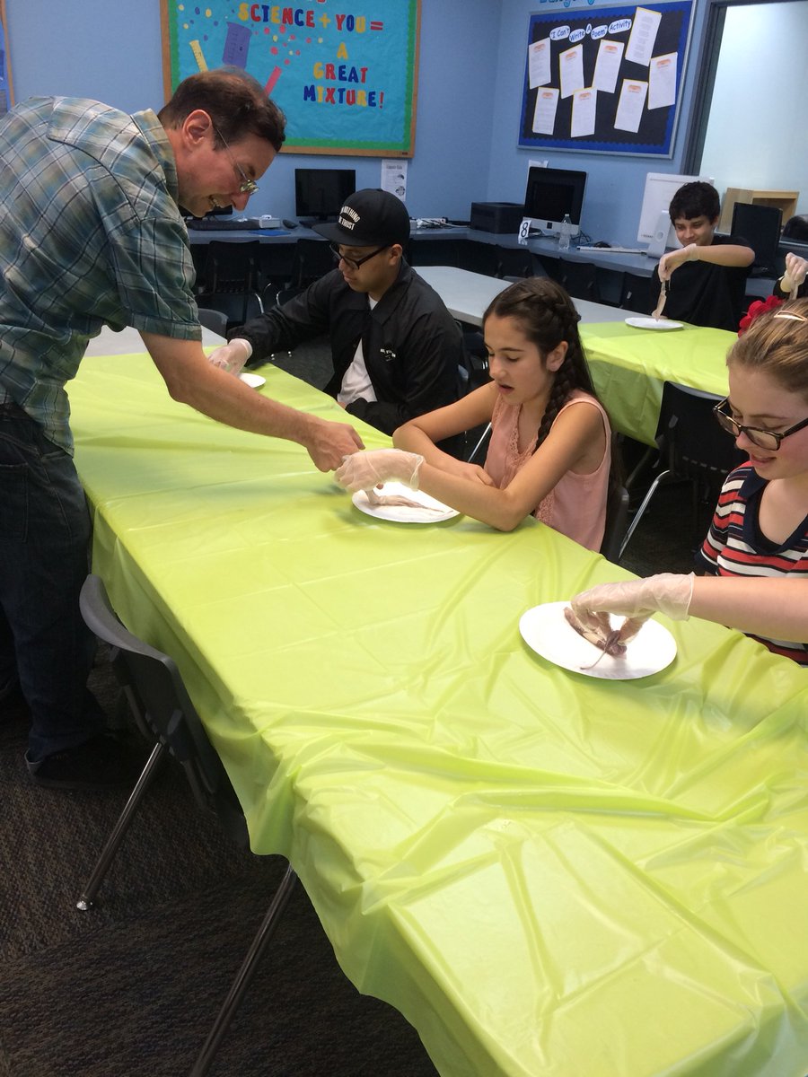 Learn4Life's tweet photo. #Learn4Life #Homestudy students recently dissected #squids in this hands-on #biology lab! 🦑🔪 #STEM #BioChat #SciChat #Science #MarineBiology https://t.co/jcAXhgUhs2