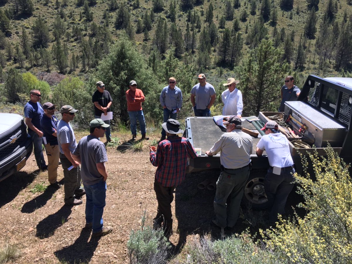 ODF_COD's tweet photo. @ODF_COD Stewardship Foresters spending time today talking Forest Practices, BMP's and forestry. #Sharing #learning #ORforests https://t.co/IIHn28UFUp
