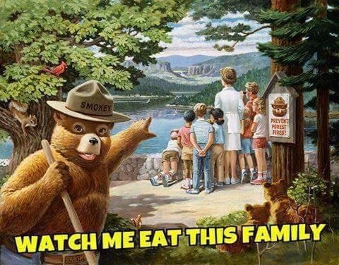GiveMeInternet's tweet photo. Smokey prevents forest fires https://t.co/1LH5iRsMsd
